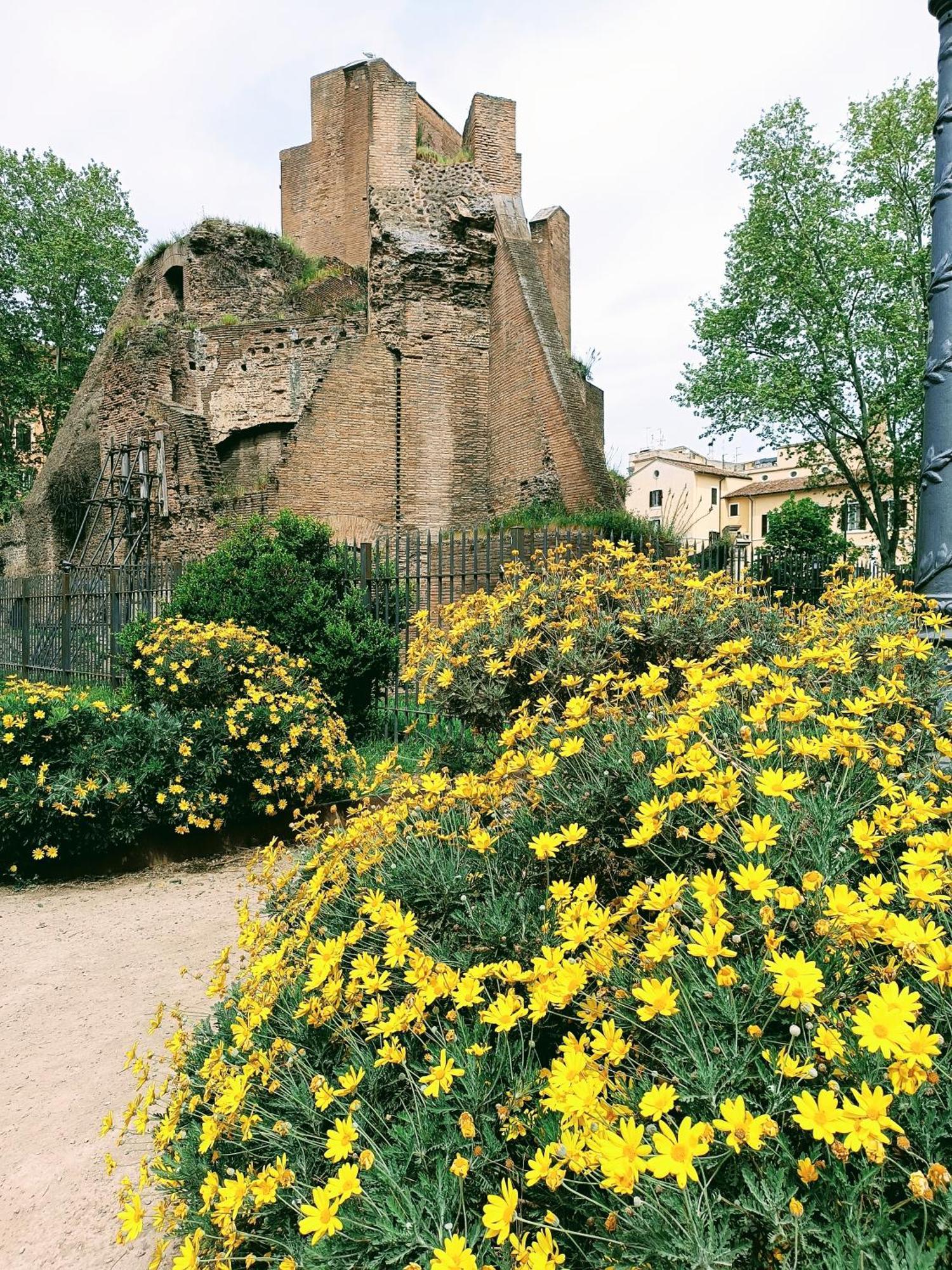 Porta Maggiore 9 Roma Locazione Turistica 外观 照片